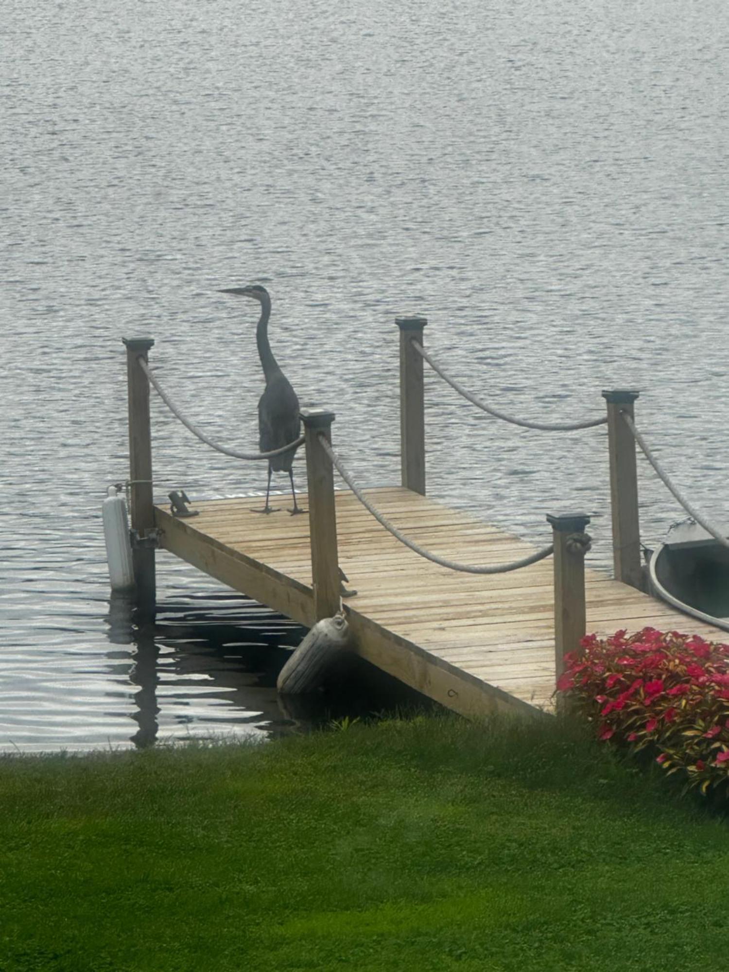 Welcome To The Lake Northwood Dış mekan fotoğraf
